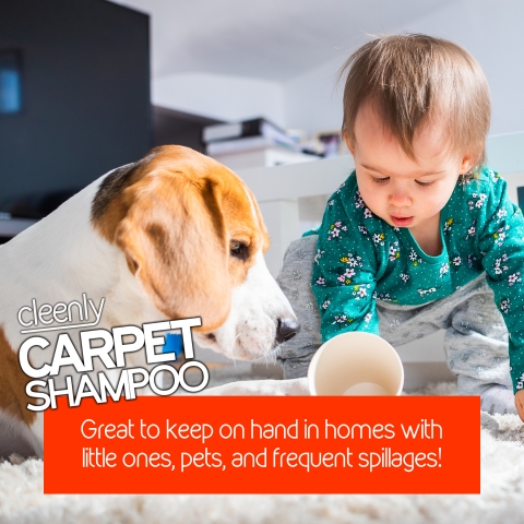5L Cleenly Pet Carpet Shampoo