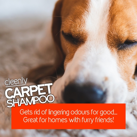 5L Cleenly Pet Carpet Shampoo