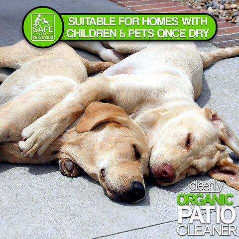 CLEENLY ORGANIC PATIO S6.jpg